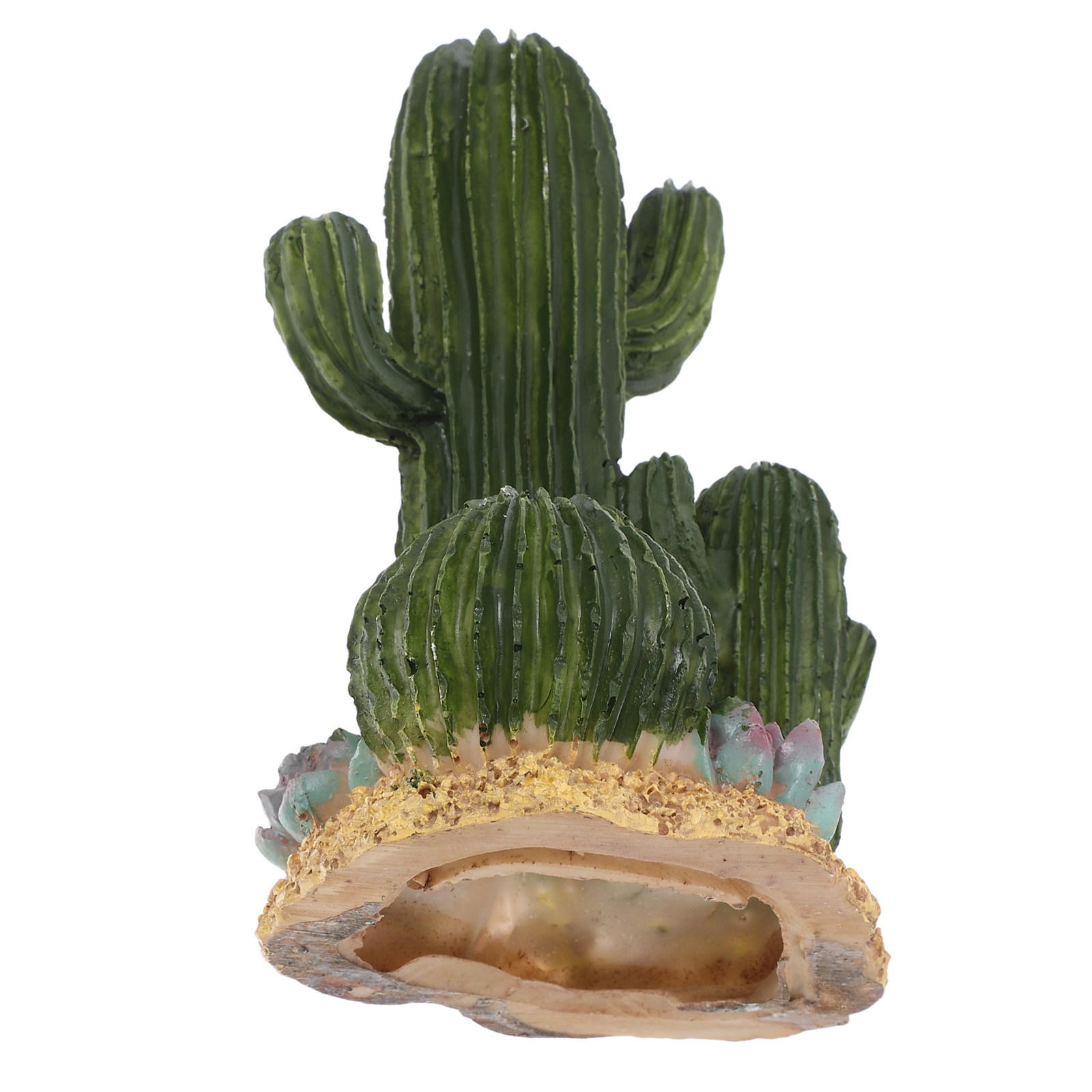 Artificial Cactus Plant Large  - огляд і ціна Terrarium Moss Art