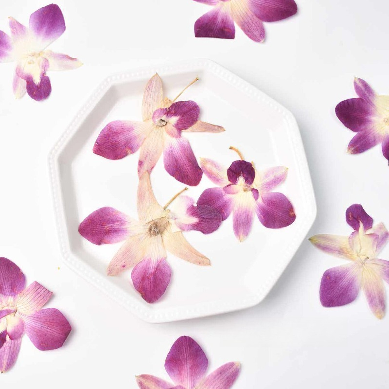 4pcs,Real Pressed Butterfly Or - огляд і ціна Resin Craft Ideas