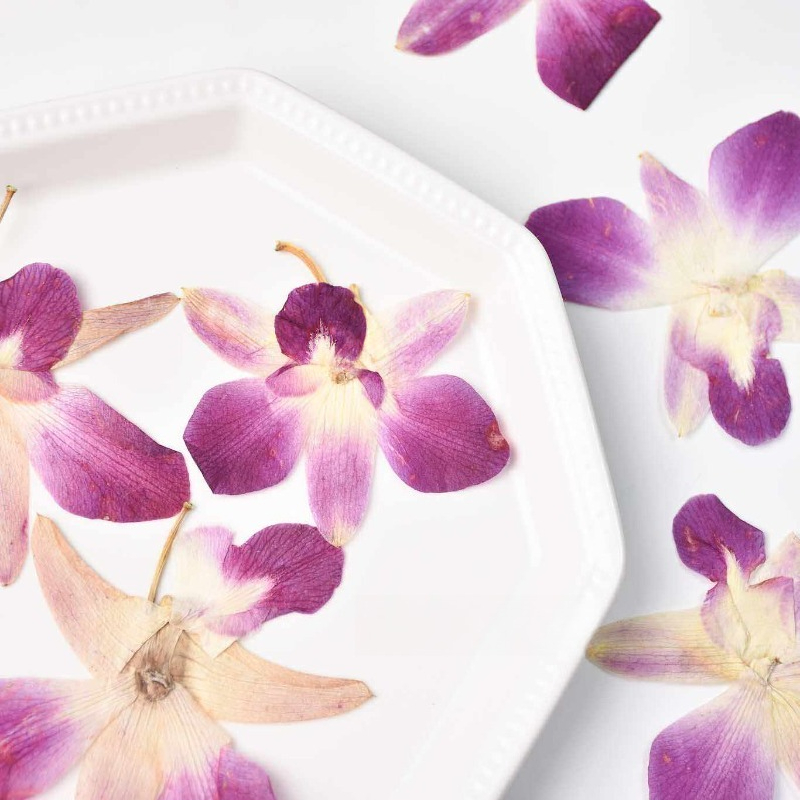 4pcs,Real Pressed Butterfly Or - огляд і ціна Resin Craft Ideas