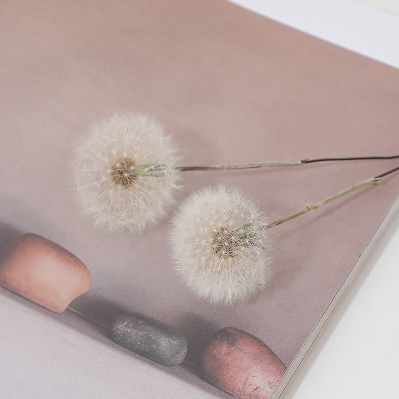 Preserved Dandelion DIY Epoxy  - огляд і ціна Crafting Resin