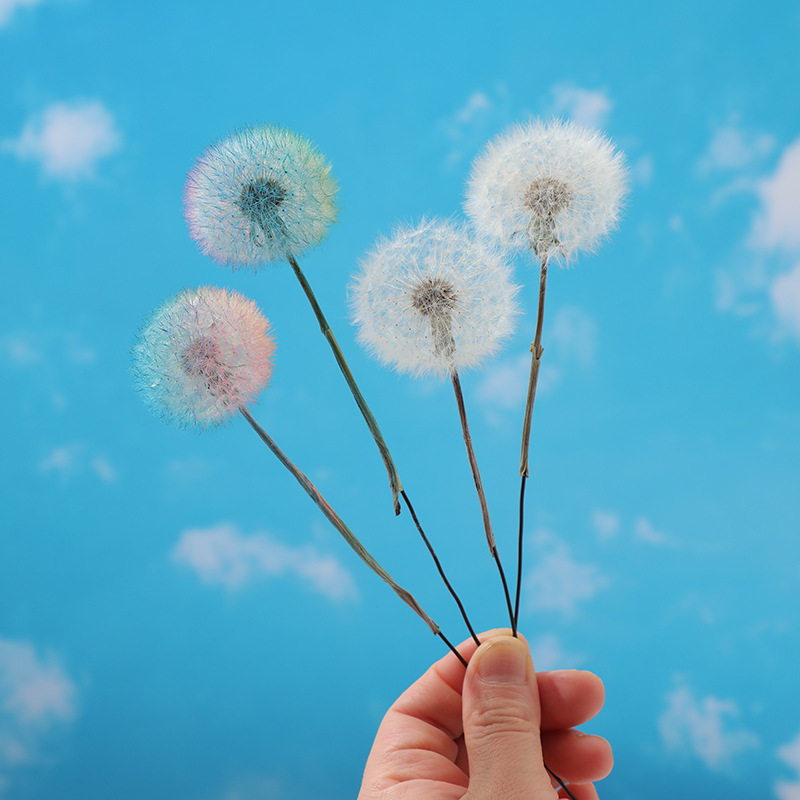 Preserved Dandelion DIY Epoxy  - огляд і ціна Crafting Resin