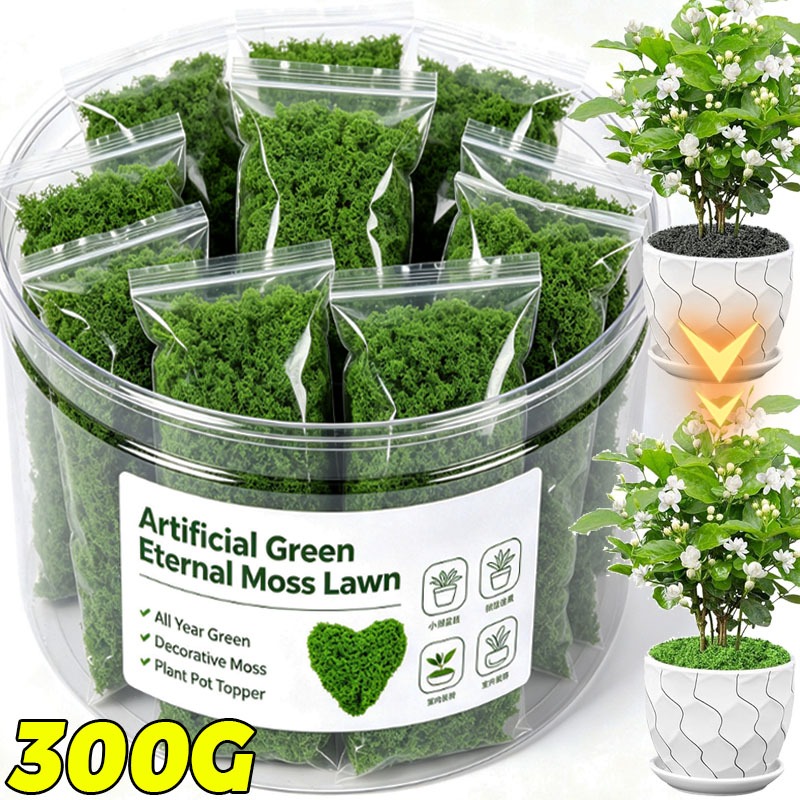 Artificial Green Plants Eterna - огляд і ціна Terrarium Moss Art