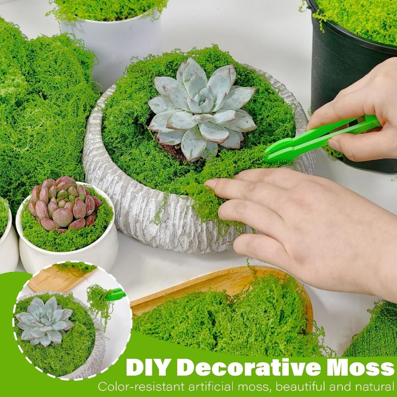 Artificial Green Plants Eterna - огляд і ціна Terrarium Moss Art
